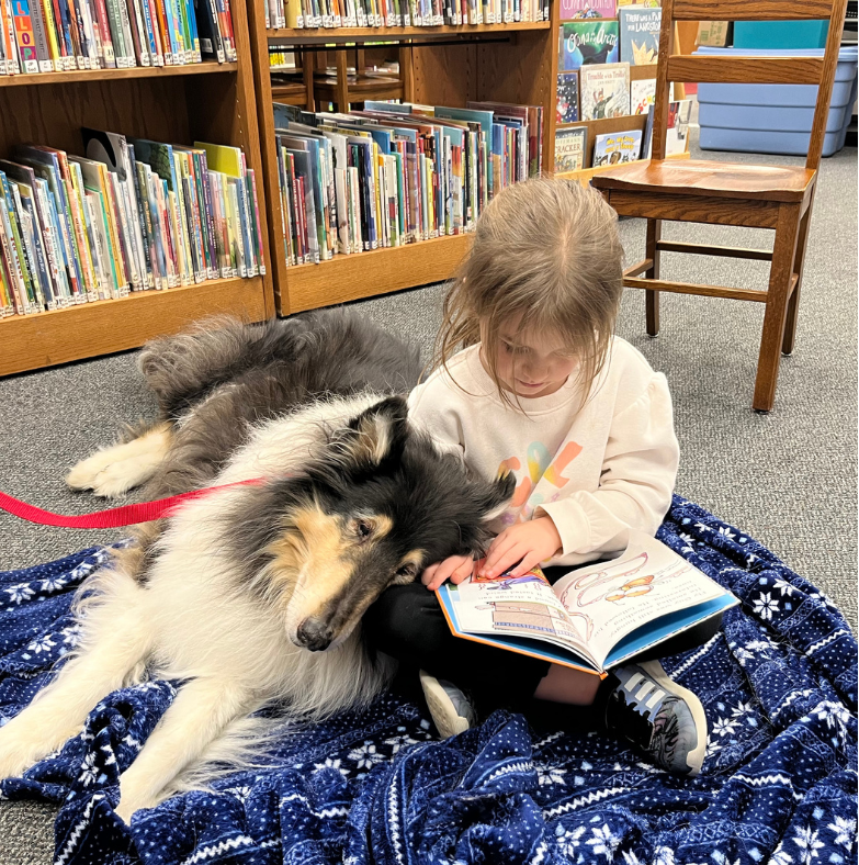 a girl reading a book to a collie dog