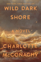The cover of Wild Dark Shore showing a dark, stormy sky and sea. 